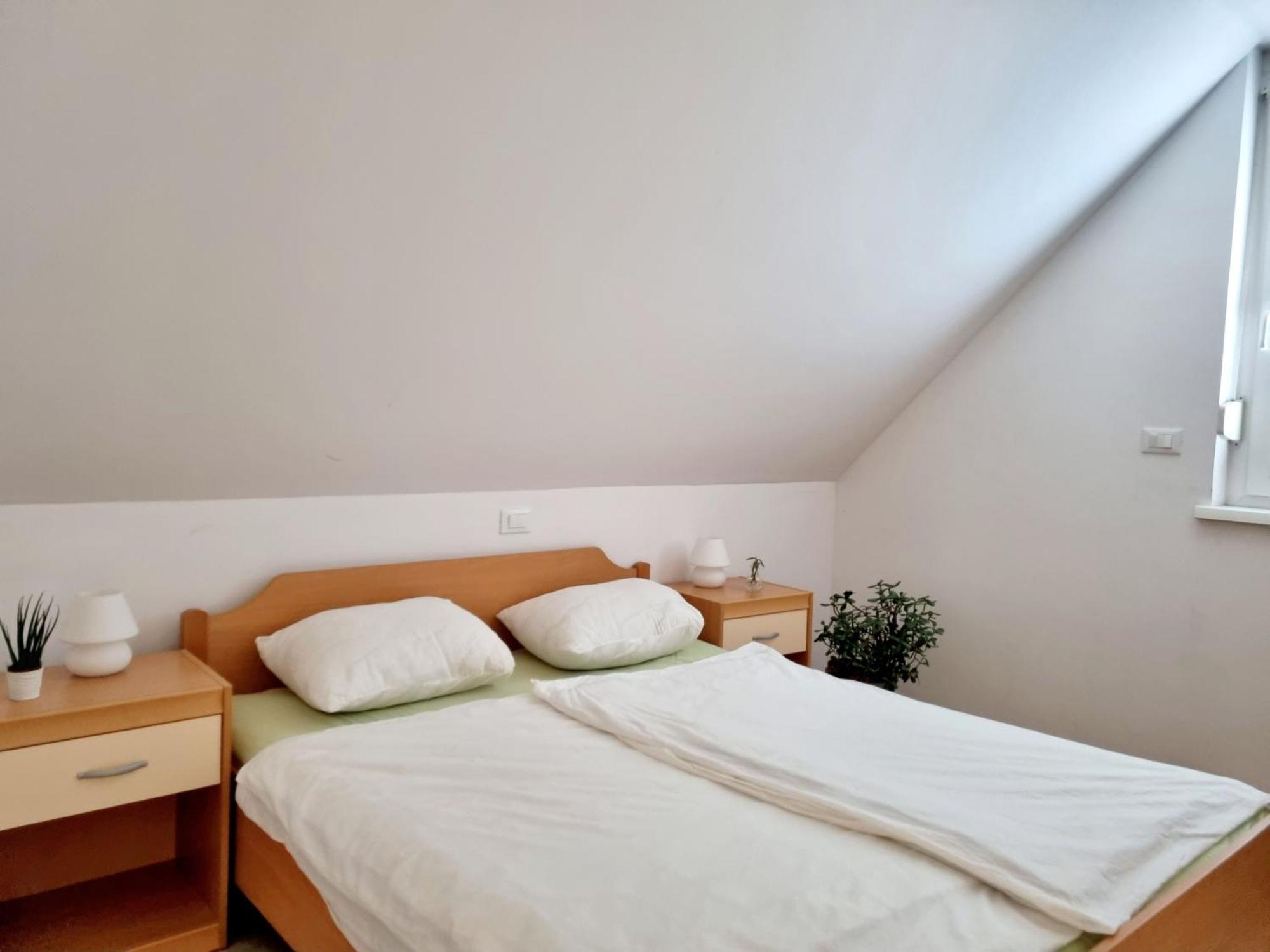 Apartmaji Pri Ticelnu Bovec Exteriér fotografie